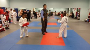 White belts about to bopper spar