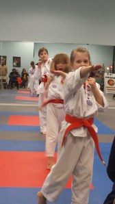 Orange Belts performing combinations during belt test.