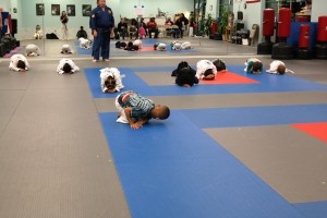Integrity Martial Arts Little Tigers Taekwondo program.
