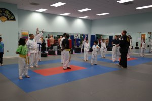 January 2017 Integrity Martial Arts Tae Kwon Do Belt Test