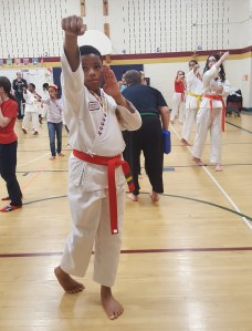 Integrity Martial Arts Demo at Bollman Bridge