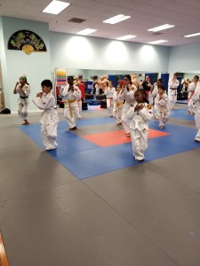 Integrity Martial Arts January 2020 Belt Test