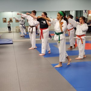 Integrity Martial Arts January 2020 Belt Test