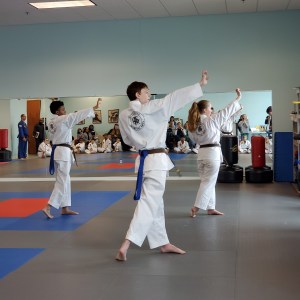 Feb Graduation Integrity Martial Arts